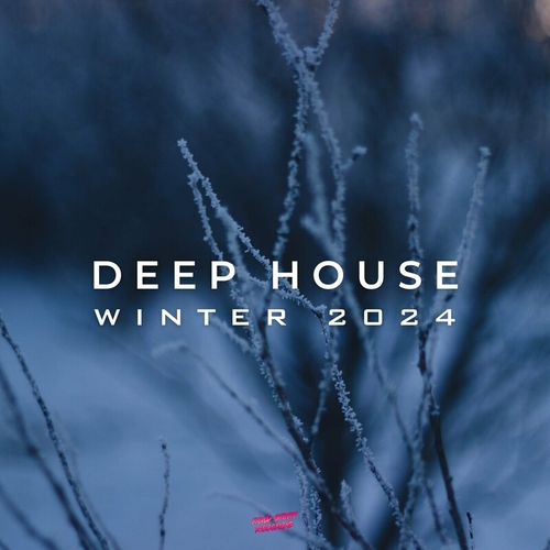 VA - Deep House Winter 2024 [RSR806]